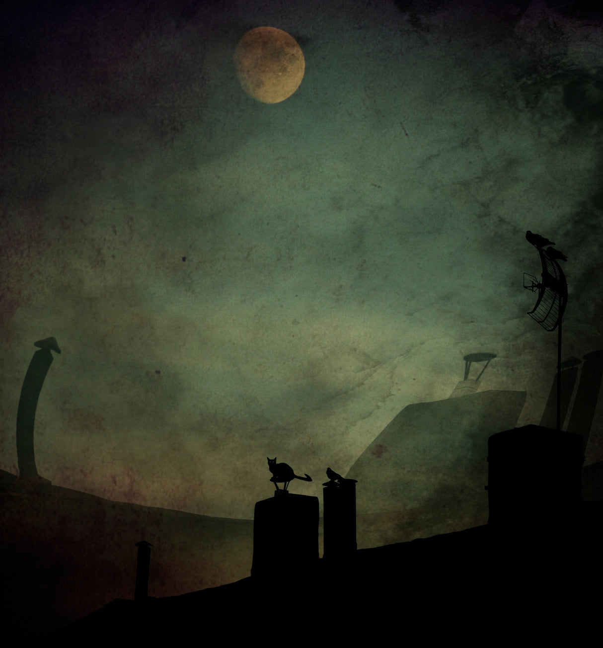 Cat Stories... Poster och Canvastavla