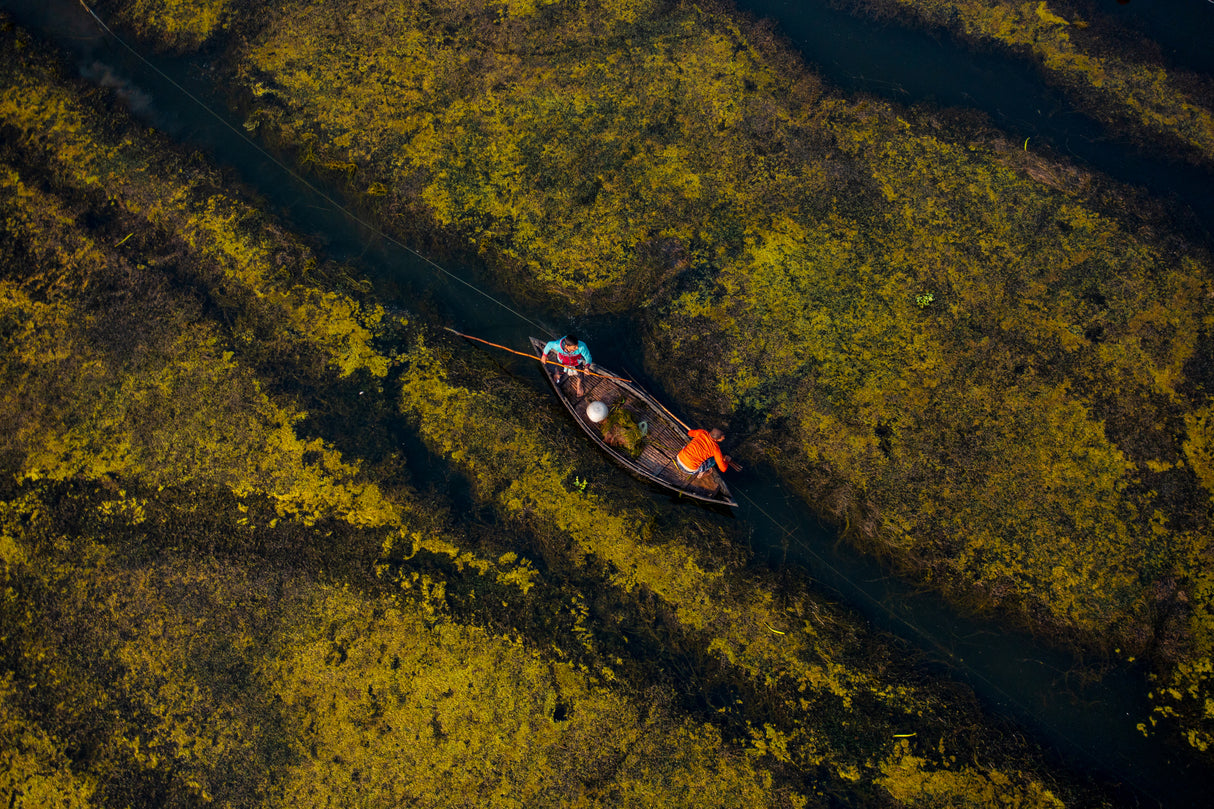 Fishermen moving on the lake Poster och Canvastavla