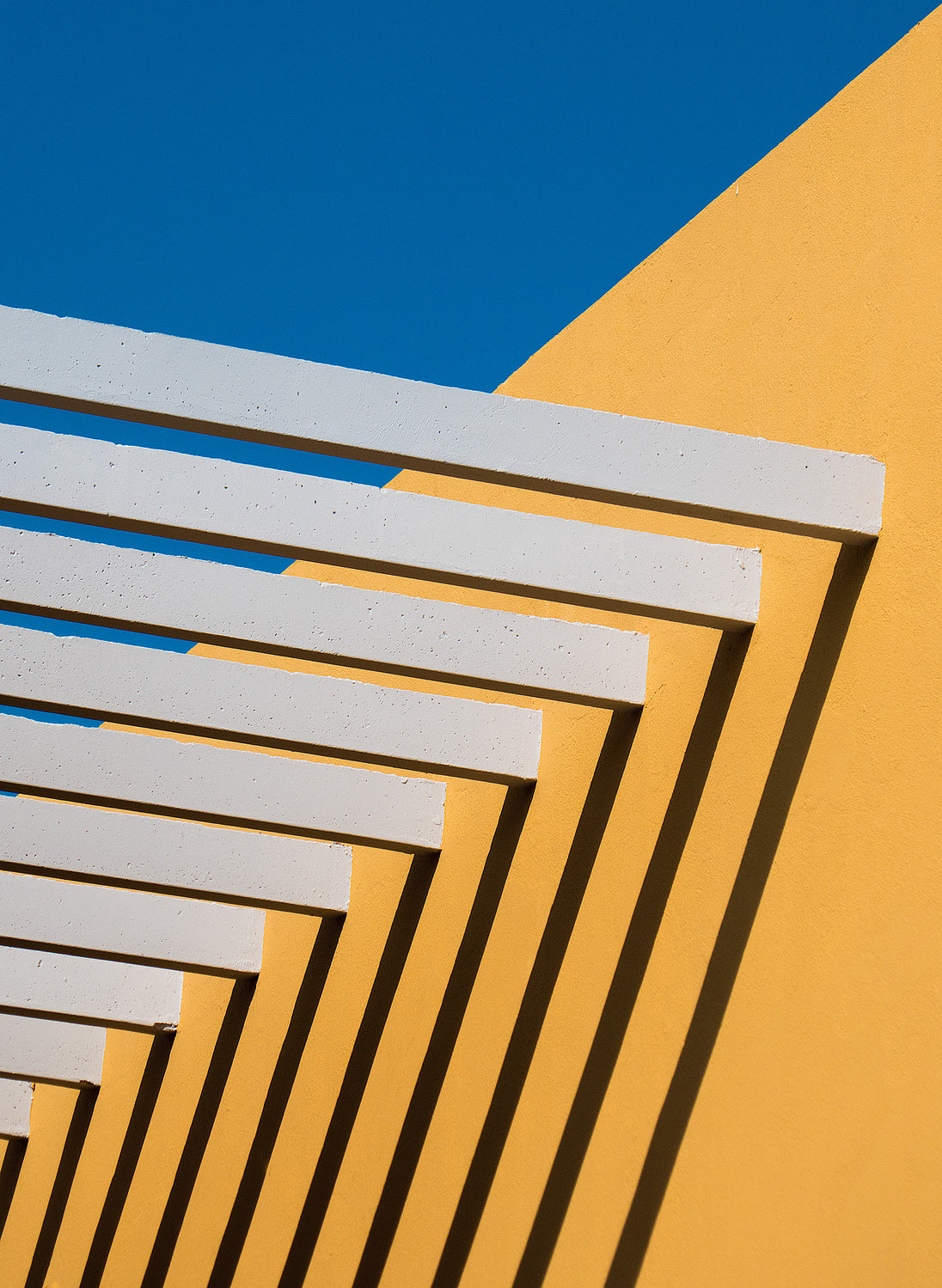 Sunny composition Poster och Canvastavla