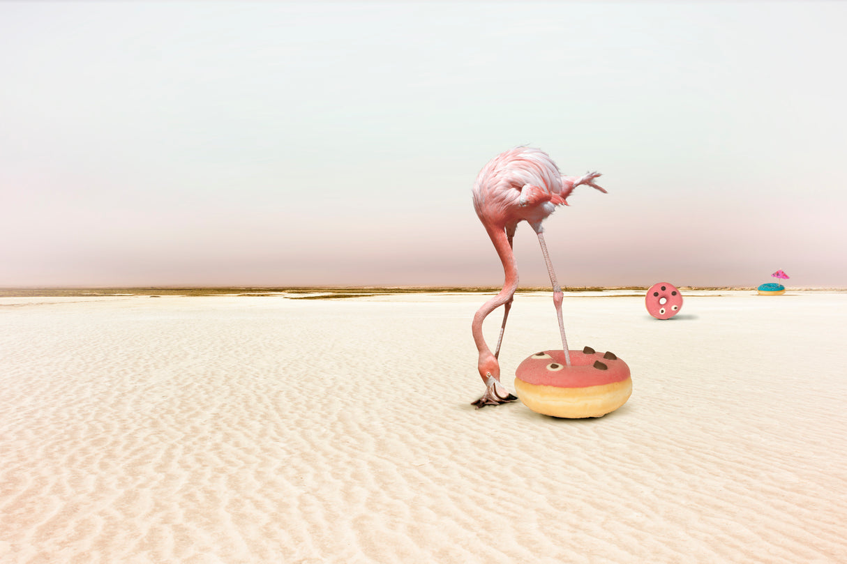 Donutbeach Poster och Canvastavla