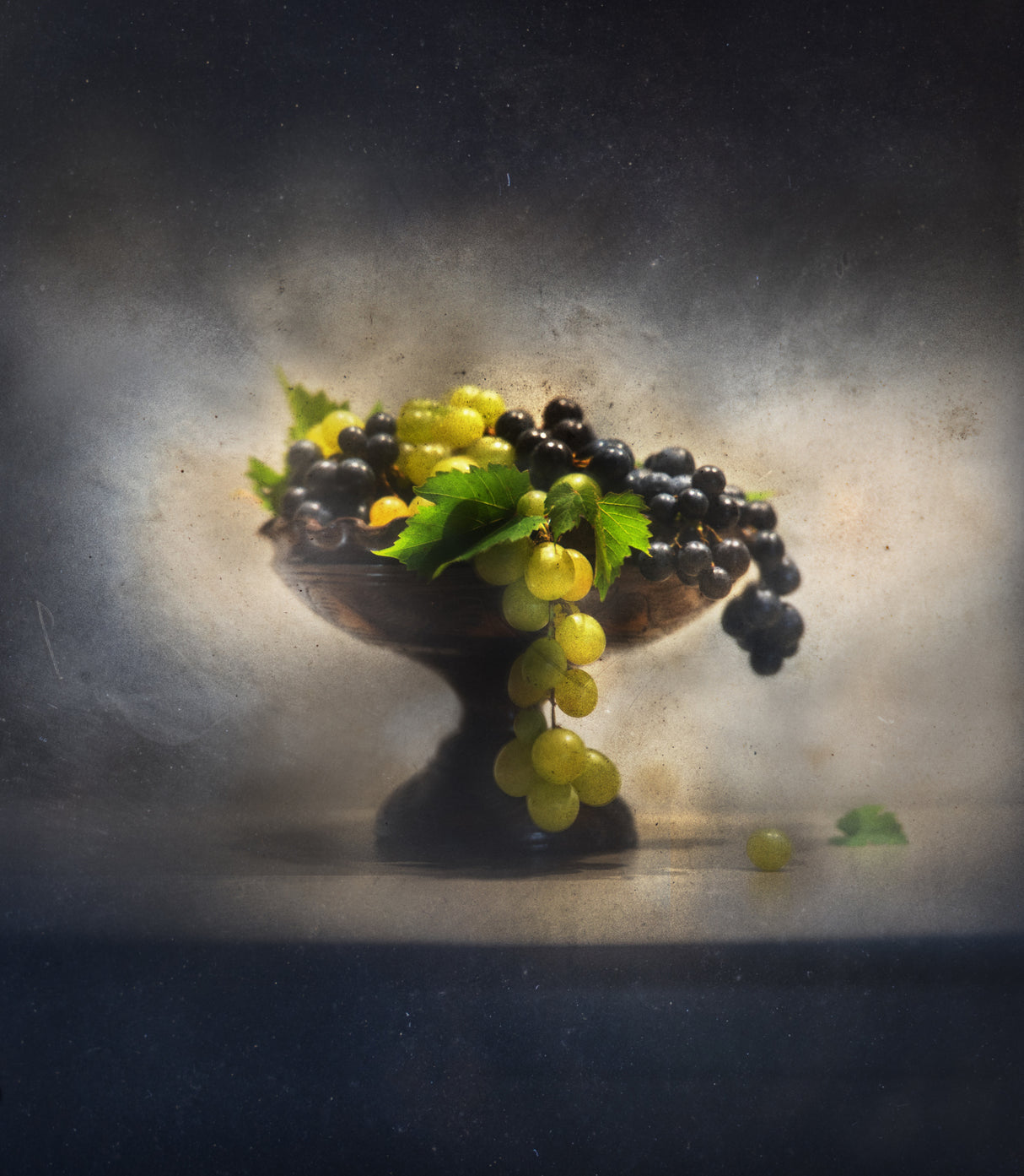 Grapes Poster och Canvastavla