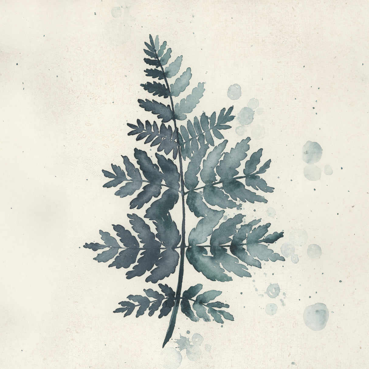 Teal watercolor fern 1 Poster och Canvastavla