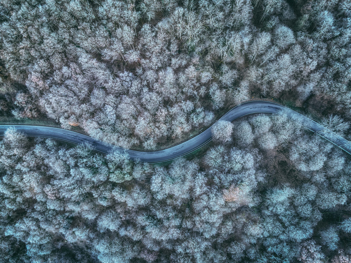 winter road Poster och Canvastavla