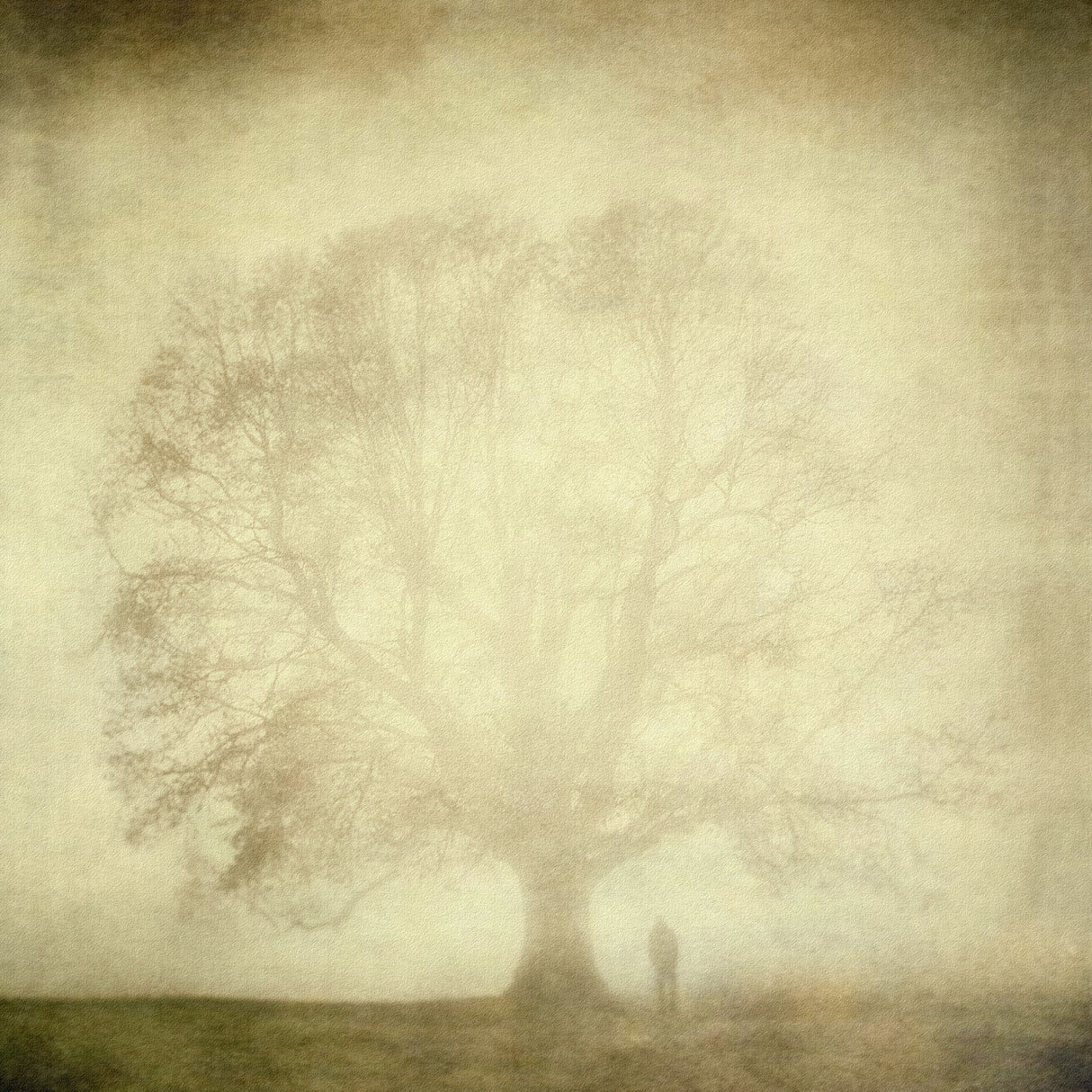 Poster och Canvastavla