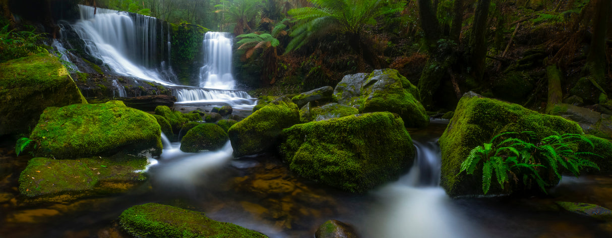 Hello Horseshoe Poster och Canvastavla