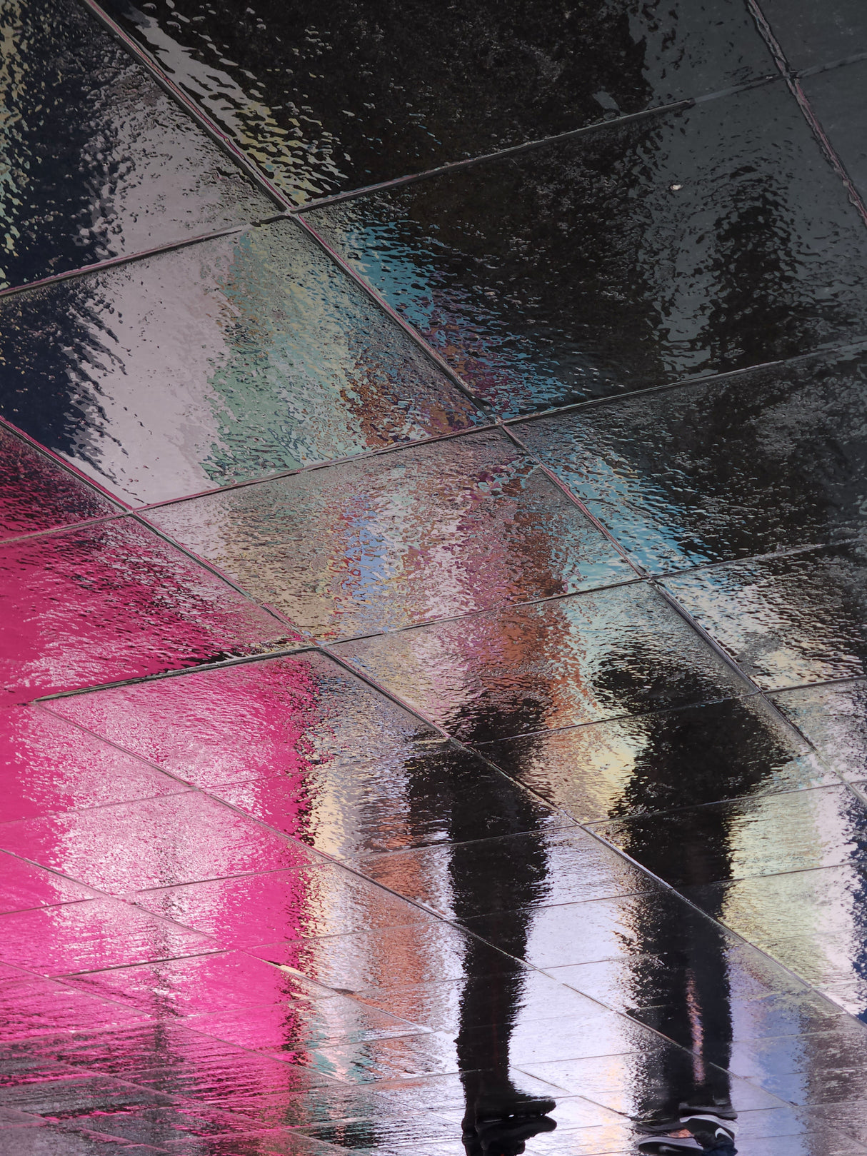 Reflections Poster och Canvastavla