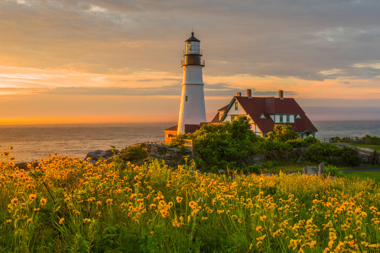 Lighthouse sunset Poster och Canvastavla