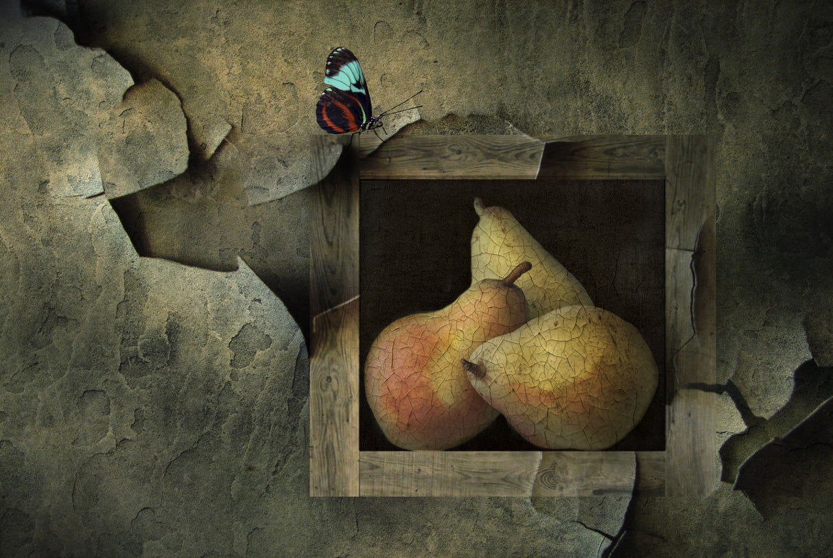 Butterfly still life Poster och Canvastavla