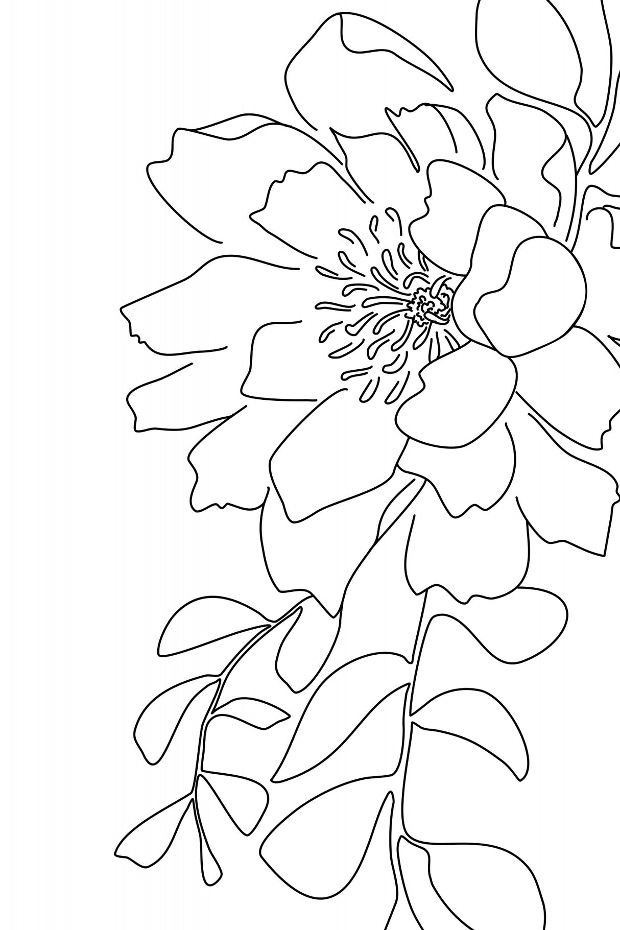 Loli peony line art Poster och Canvastavla