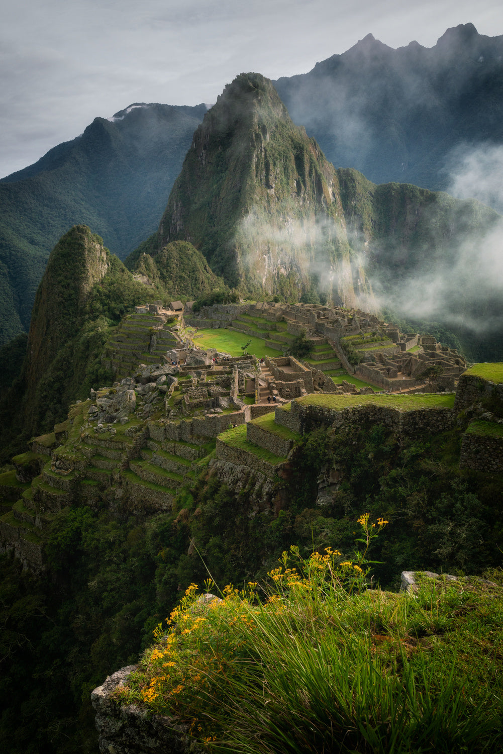 Andean Garden Poster och Canvastavla