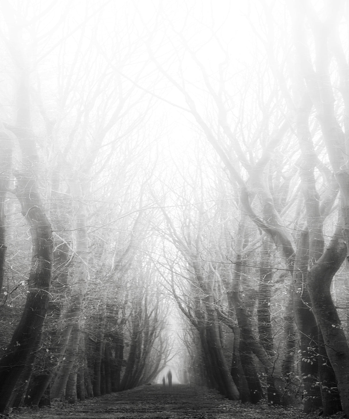 Let's find some place to get lost ... Poster och Canvastavla