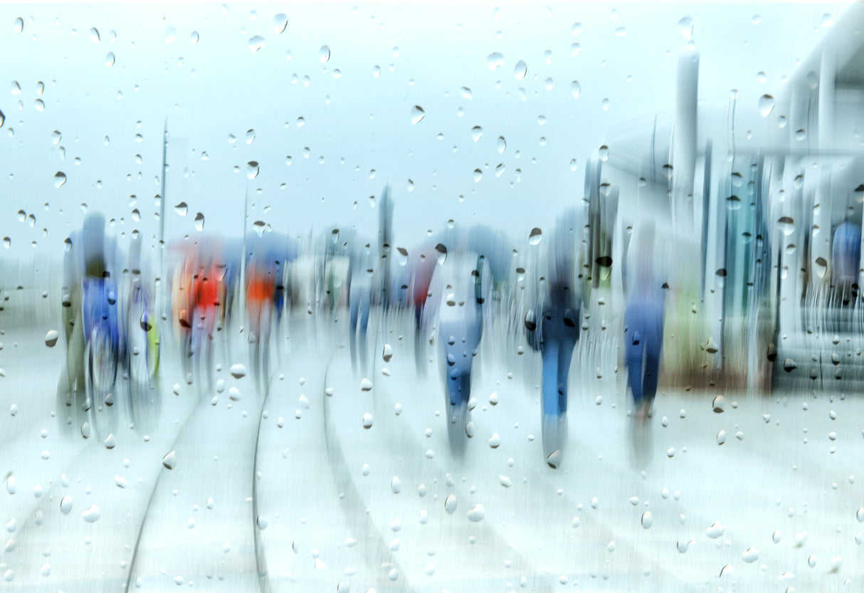 it`s raining Poster och Canvastavla
