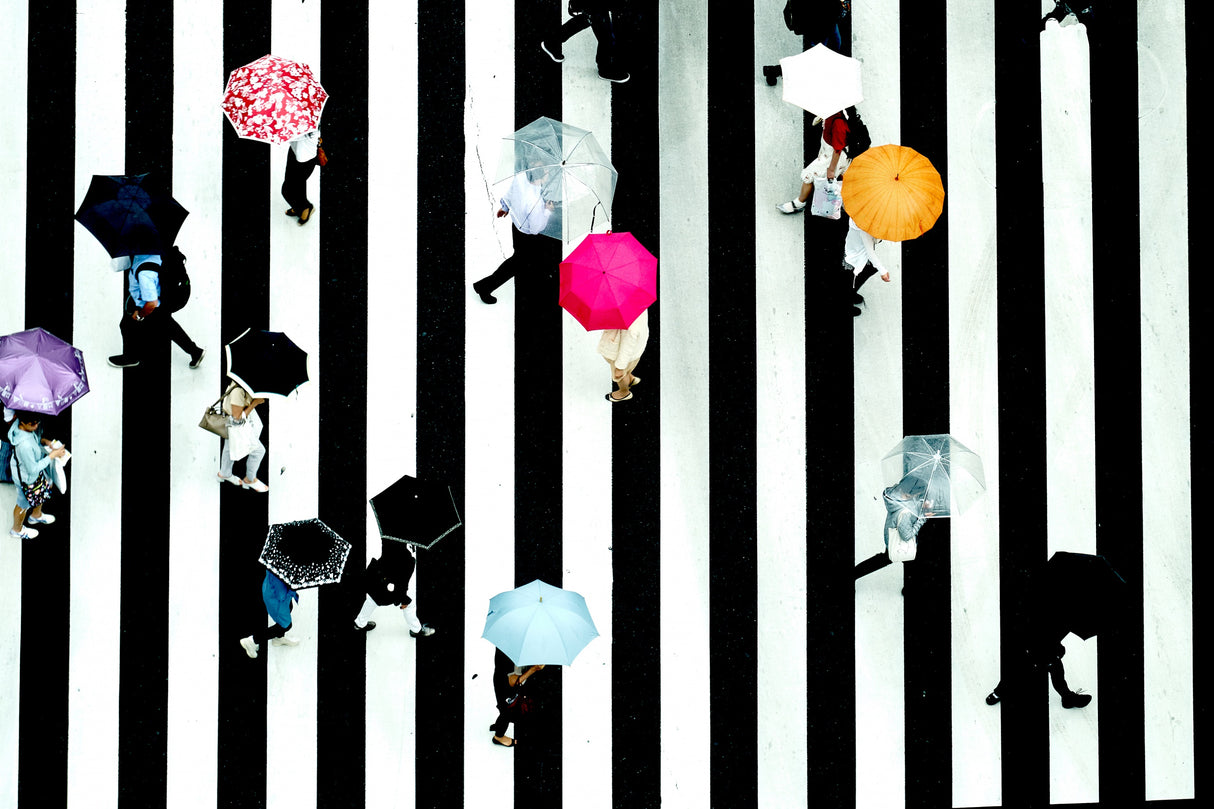 crossing Poster och Canvastavla