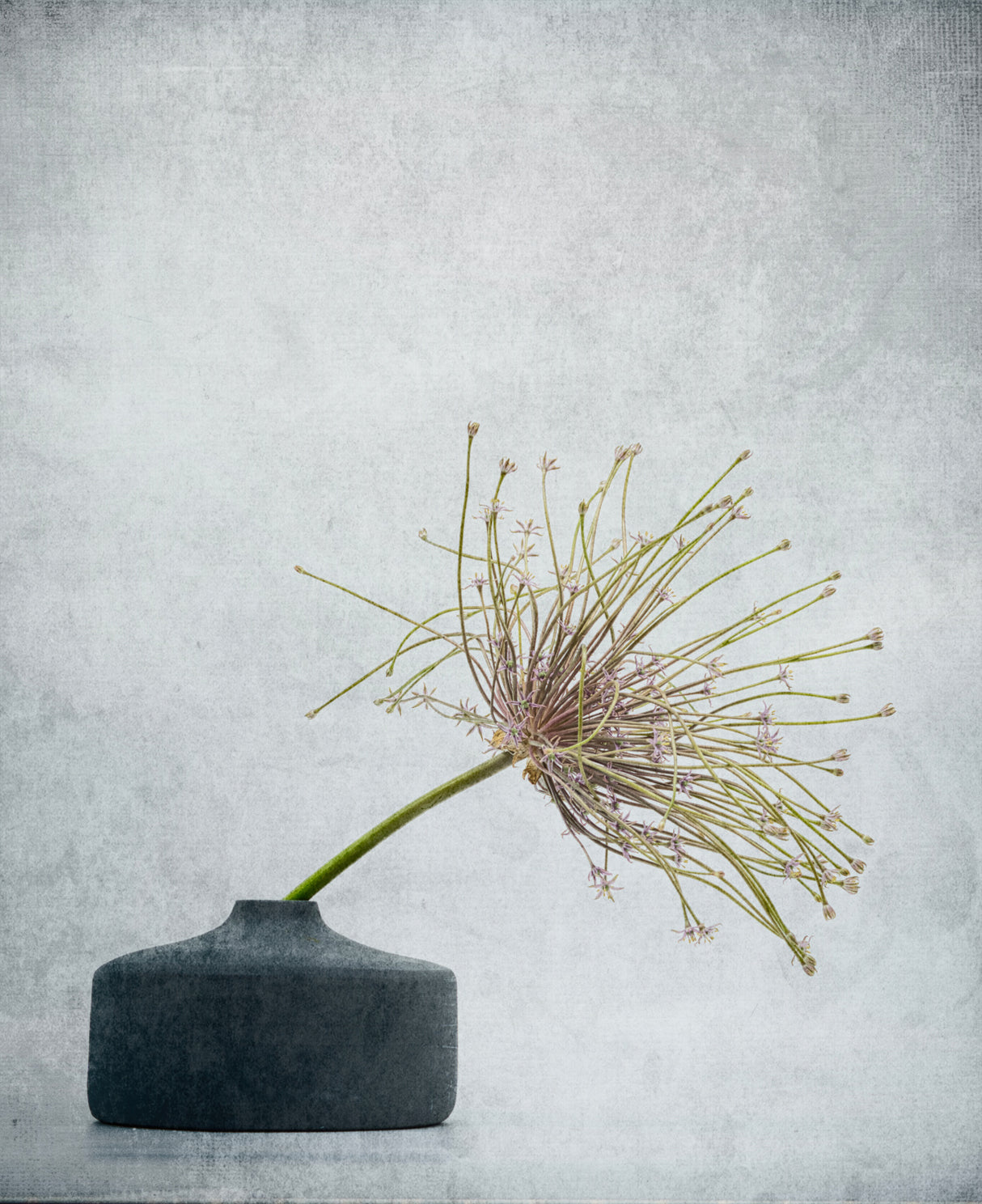 Simple comme bonjour . Poster och Canvastavla