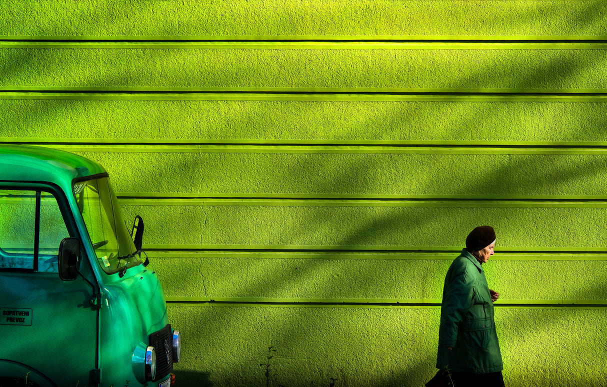 old green Poster och Canvastavla