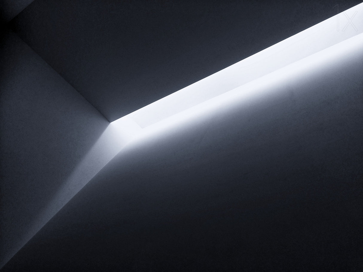 Let the Light In Poster och Canvastavla
