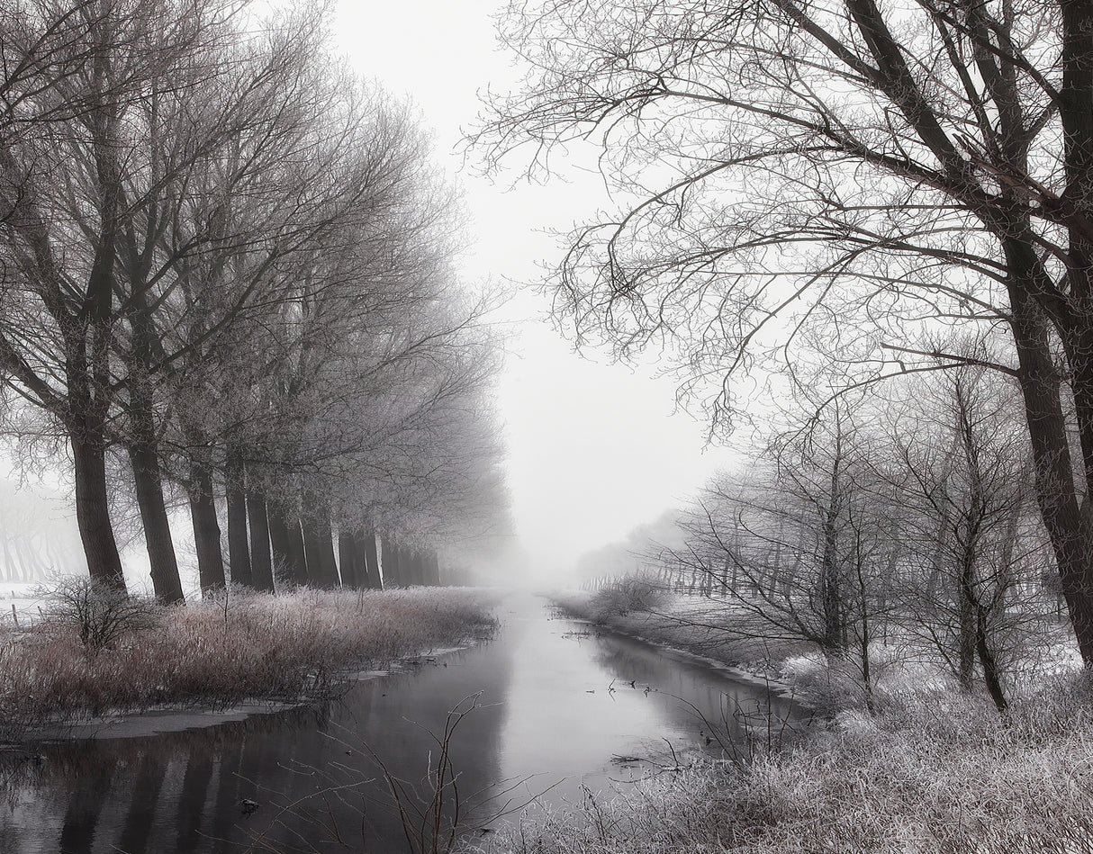 Dear Winter, never stop to be so romantic Poster och Canvastavla