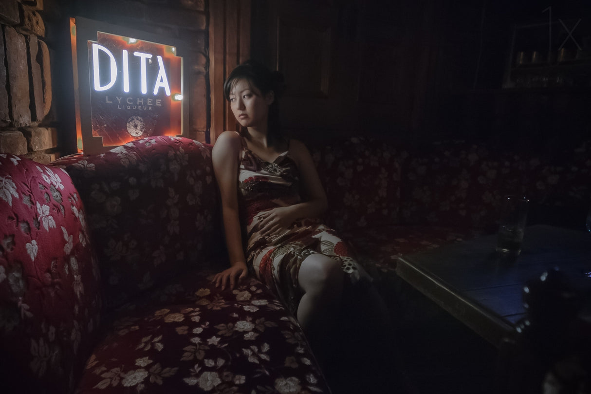 caught by night Poster och Canvastavla