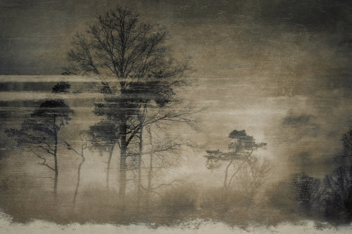 Old postcard Poster och Canvastavla