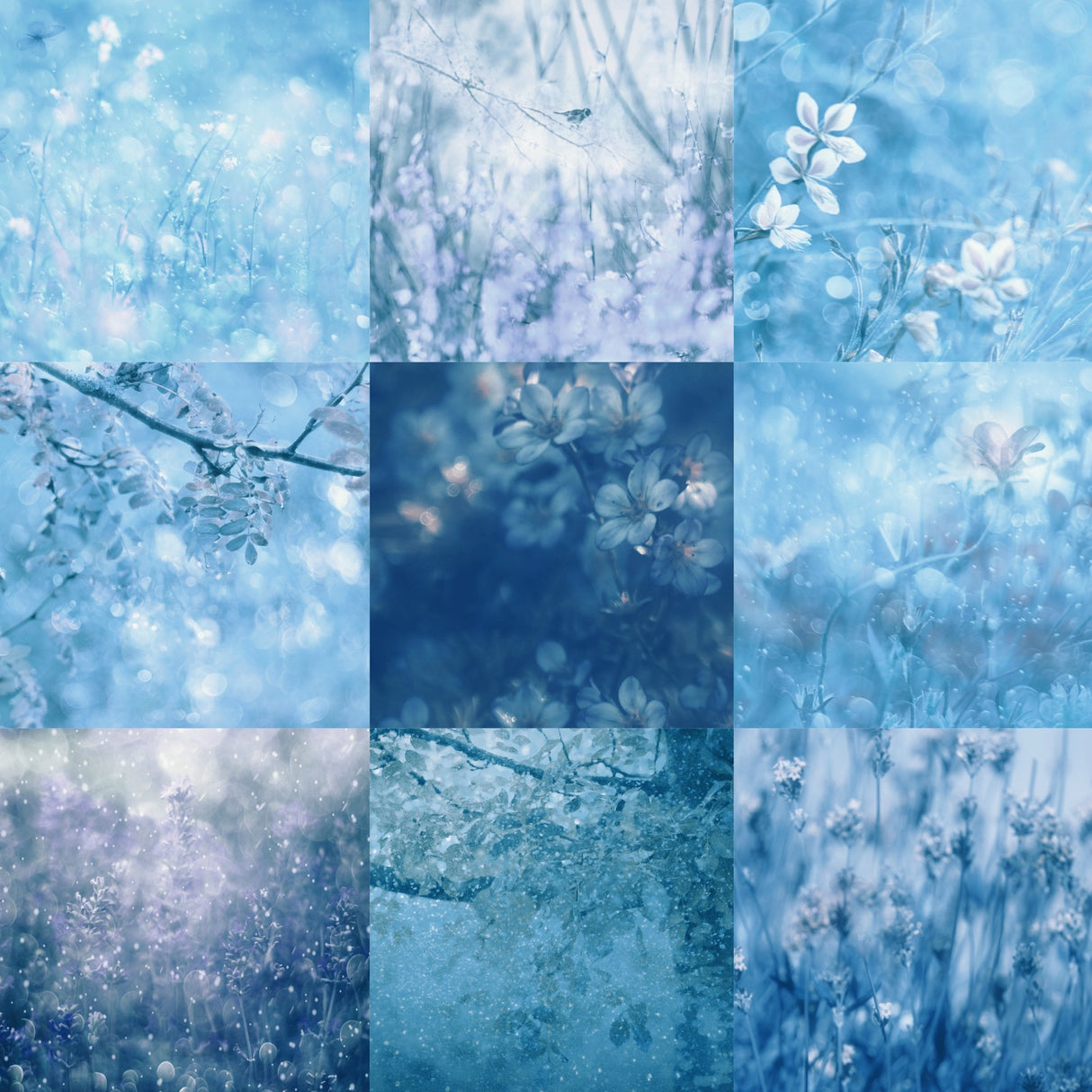 Shades of Blue Poster och Canvastavla