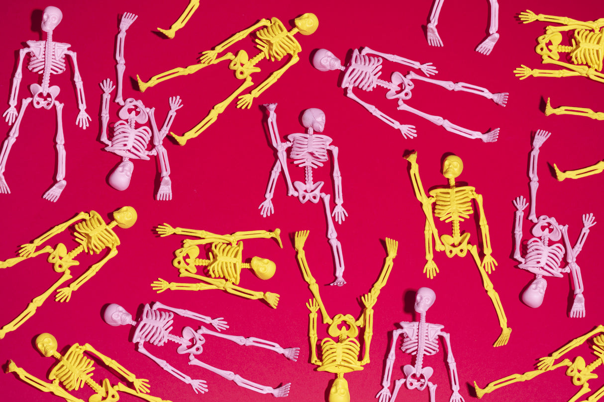 Skeletons Poster och Canvastavla