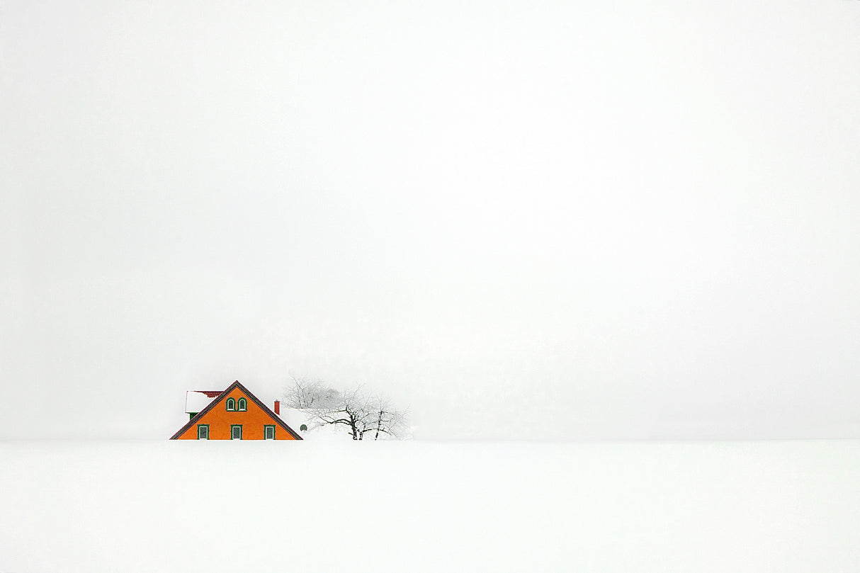 " snowbound " Poster och Canvastavla