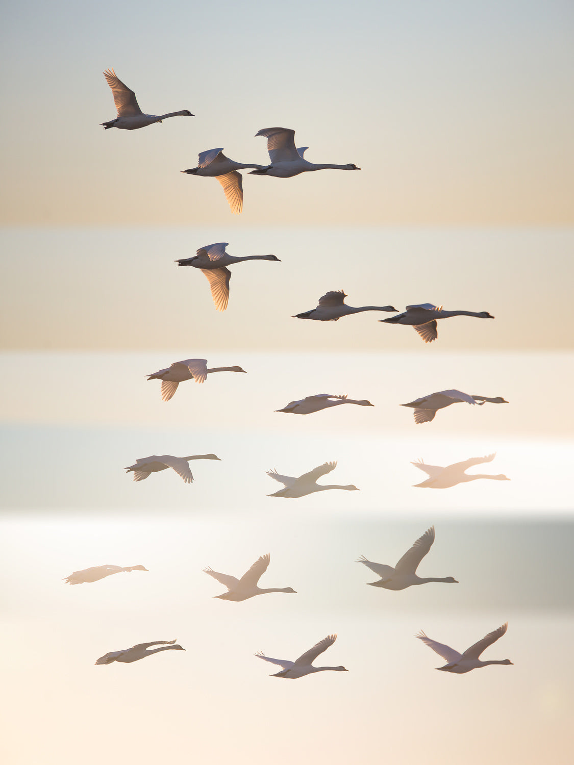 Past the sun. Poster och Canvastavla