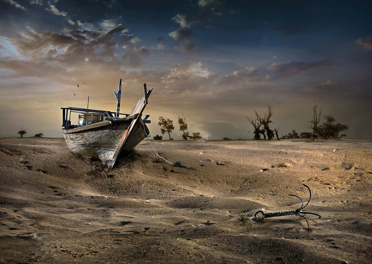 SHIP IN THE DESERT Poster och Canvastavla