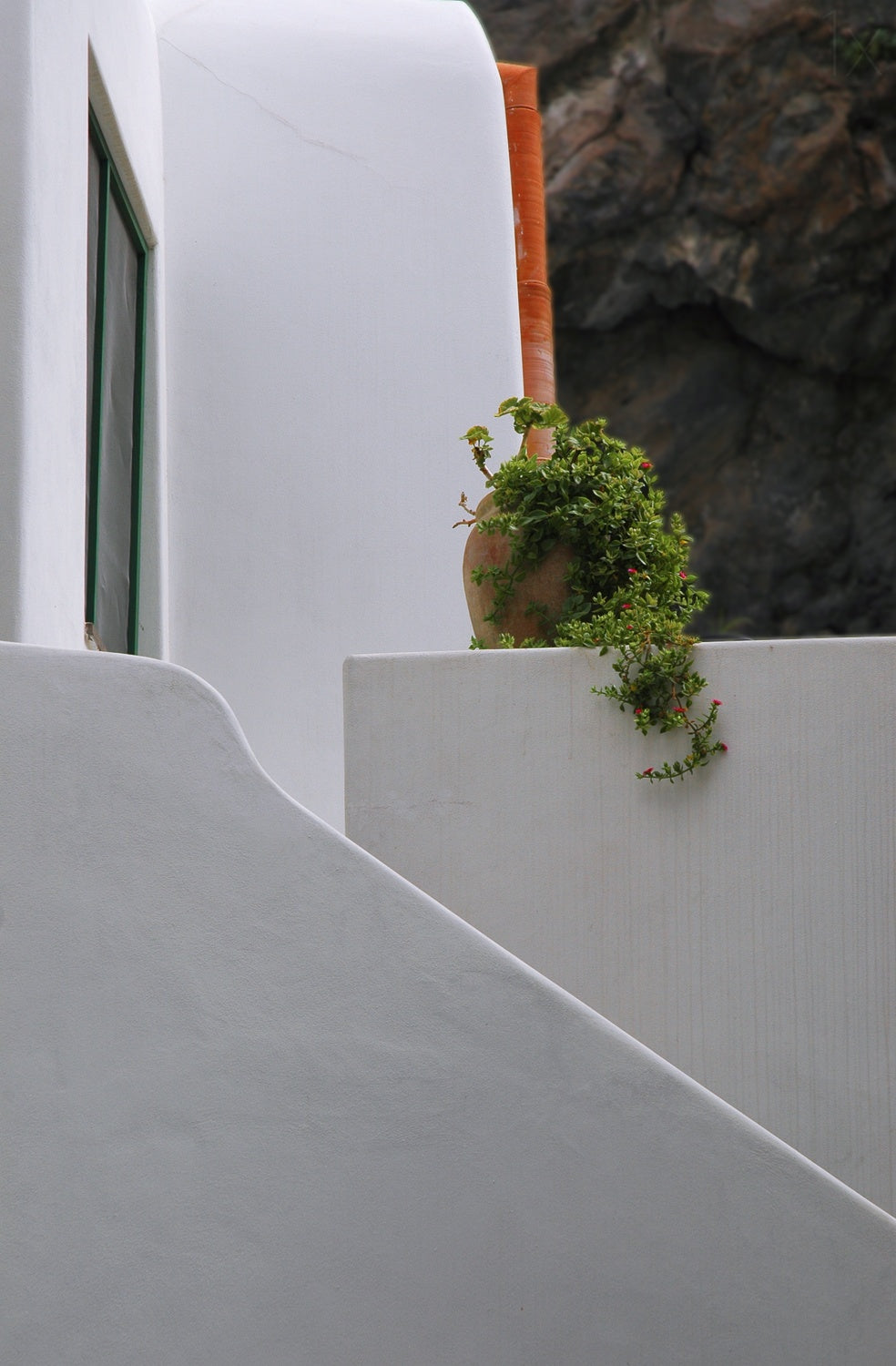 The lonely houseplant Poster och Canvastavla