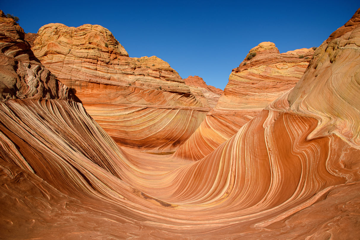 The Wave - Coyote Buttes North Poster och Canvastavla