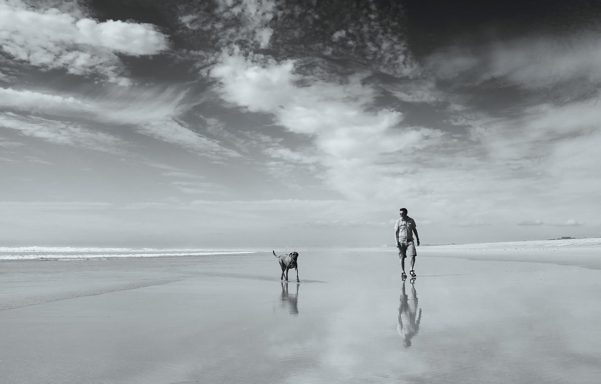 Life's a beach Poster och Canvastavla