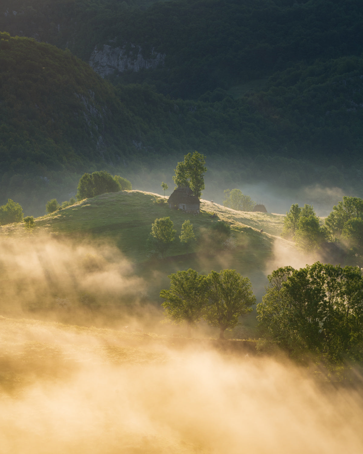 The sunrays of dawn Poster och Canvastavla