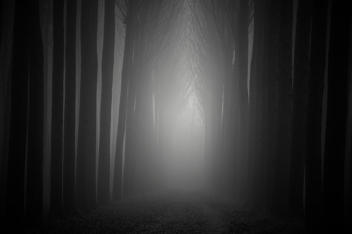 Beyond the light Poster och Canvastavla