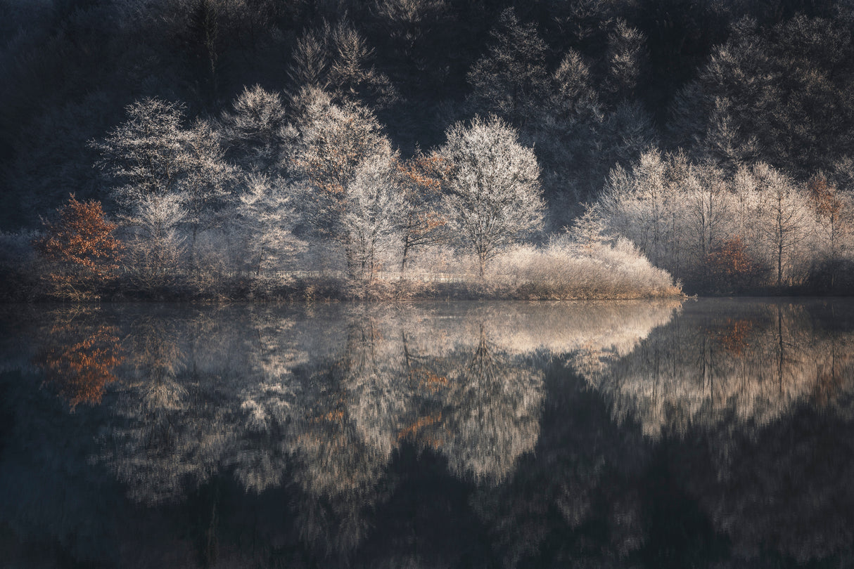Morning light Poster och Canvastavla