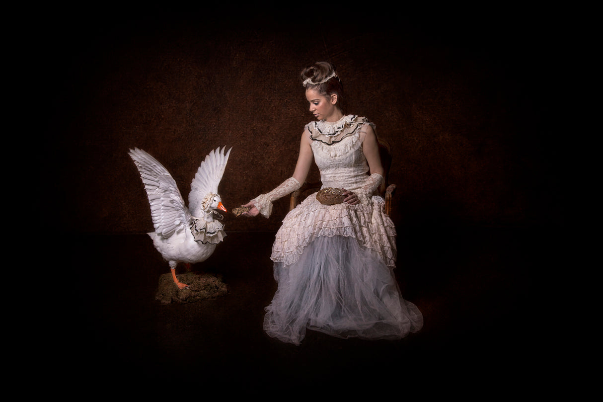 Fairytale of Goose and the princess Poster och Canvastavla