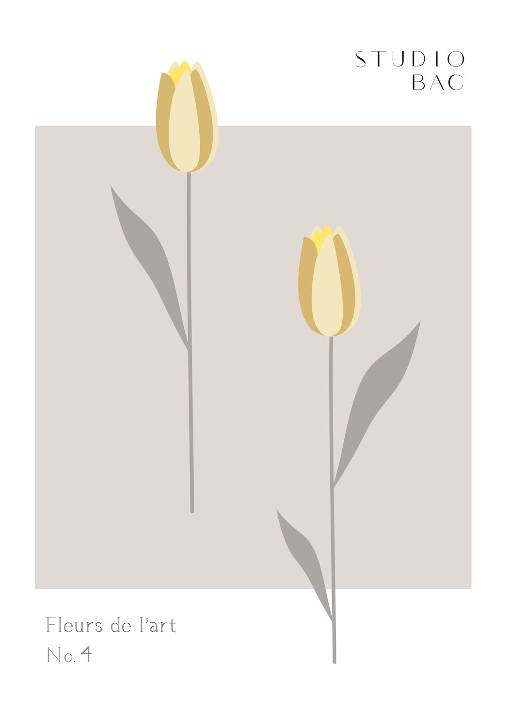 Tulips Studio Bac Poster och Canvastavla