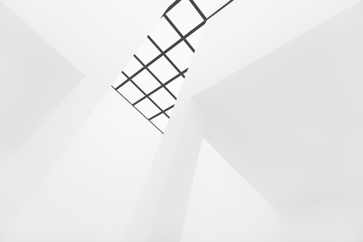 The grid Poster och Canvastavla