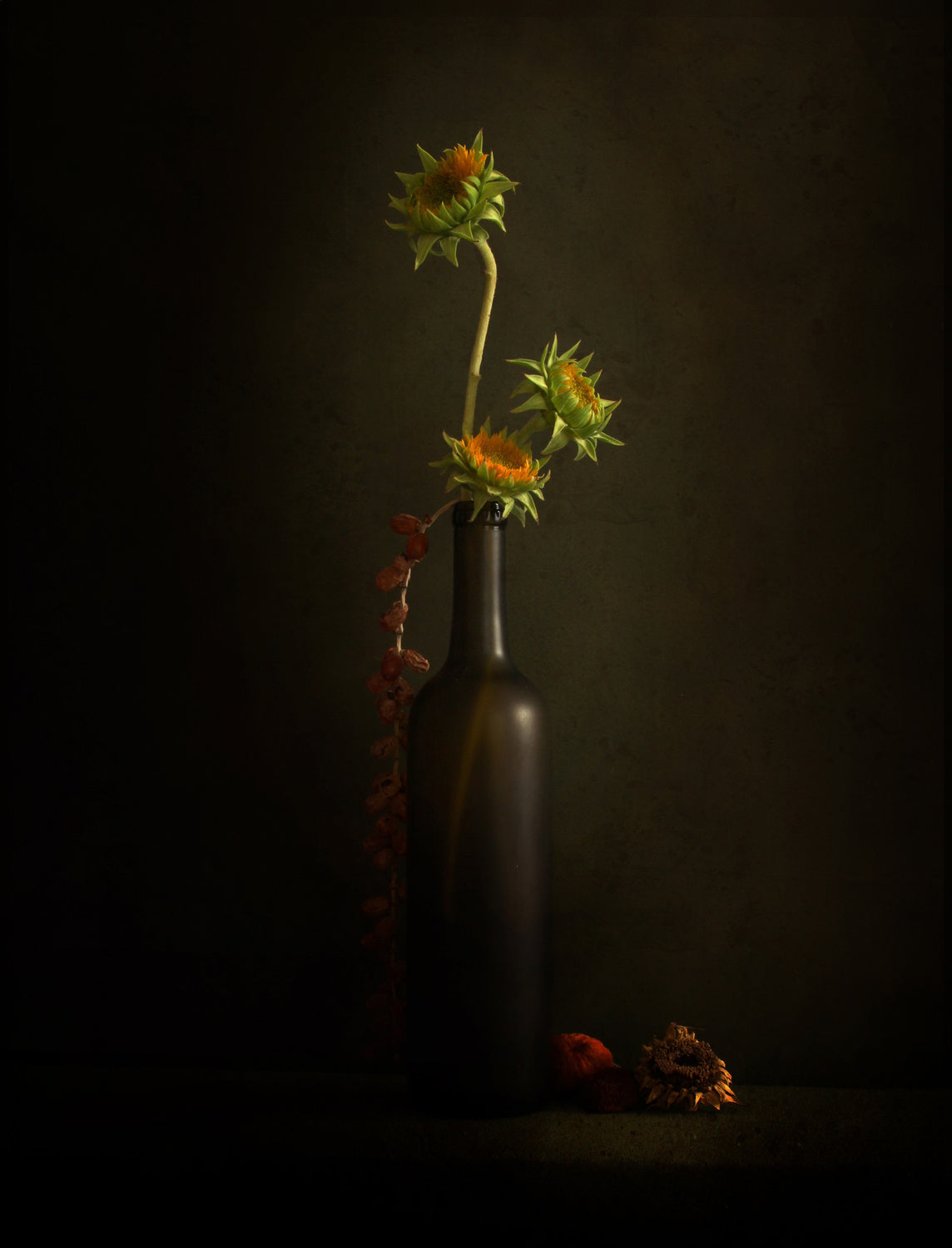 Last Light Poster och Canvastavla