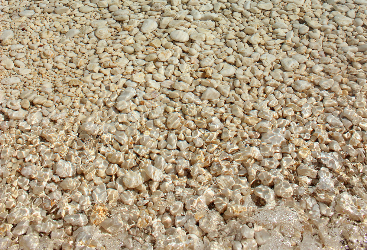 Golden Pebbles and Clear Water Poster och Canvastavla