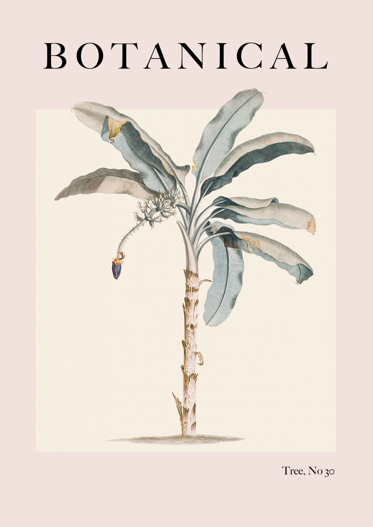 Botanical Palm Poster och Canvastavla