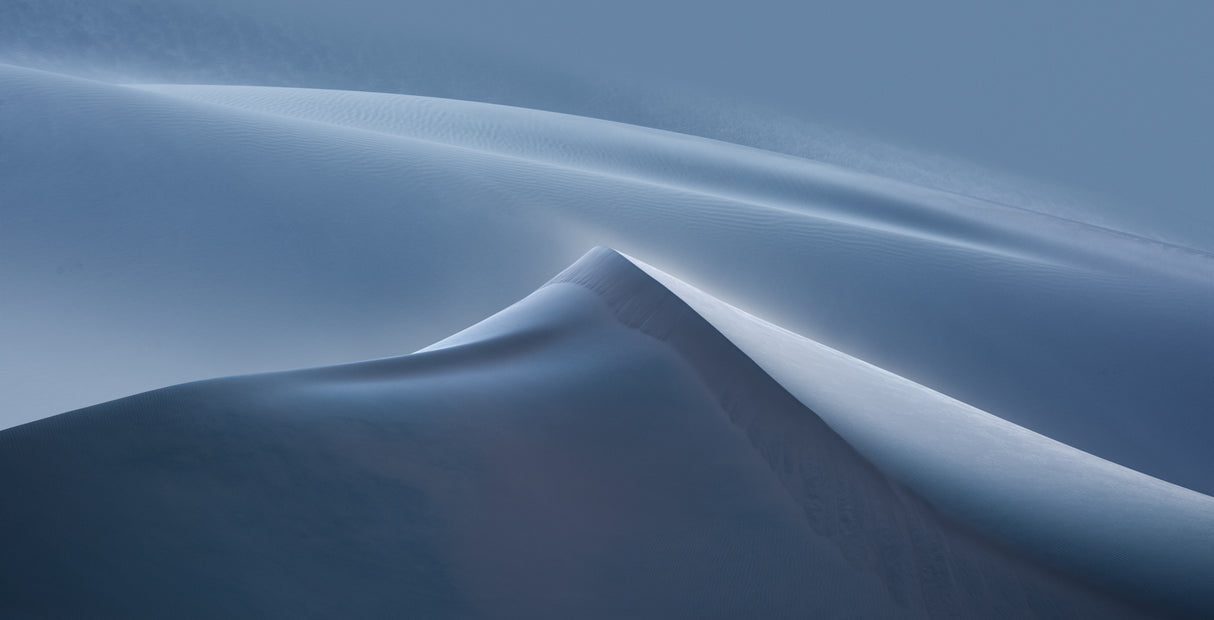 Desert Poster och Canvastavla