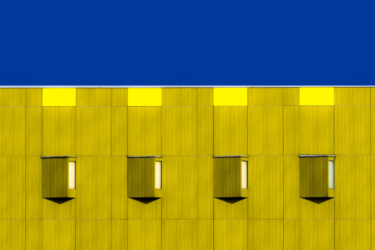 four yellow Poster och Canvastavla