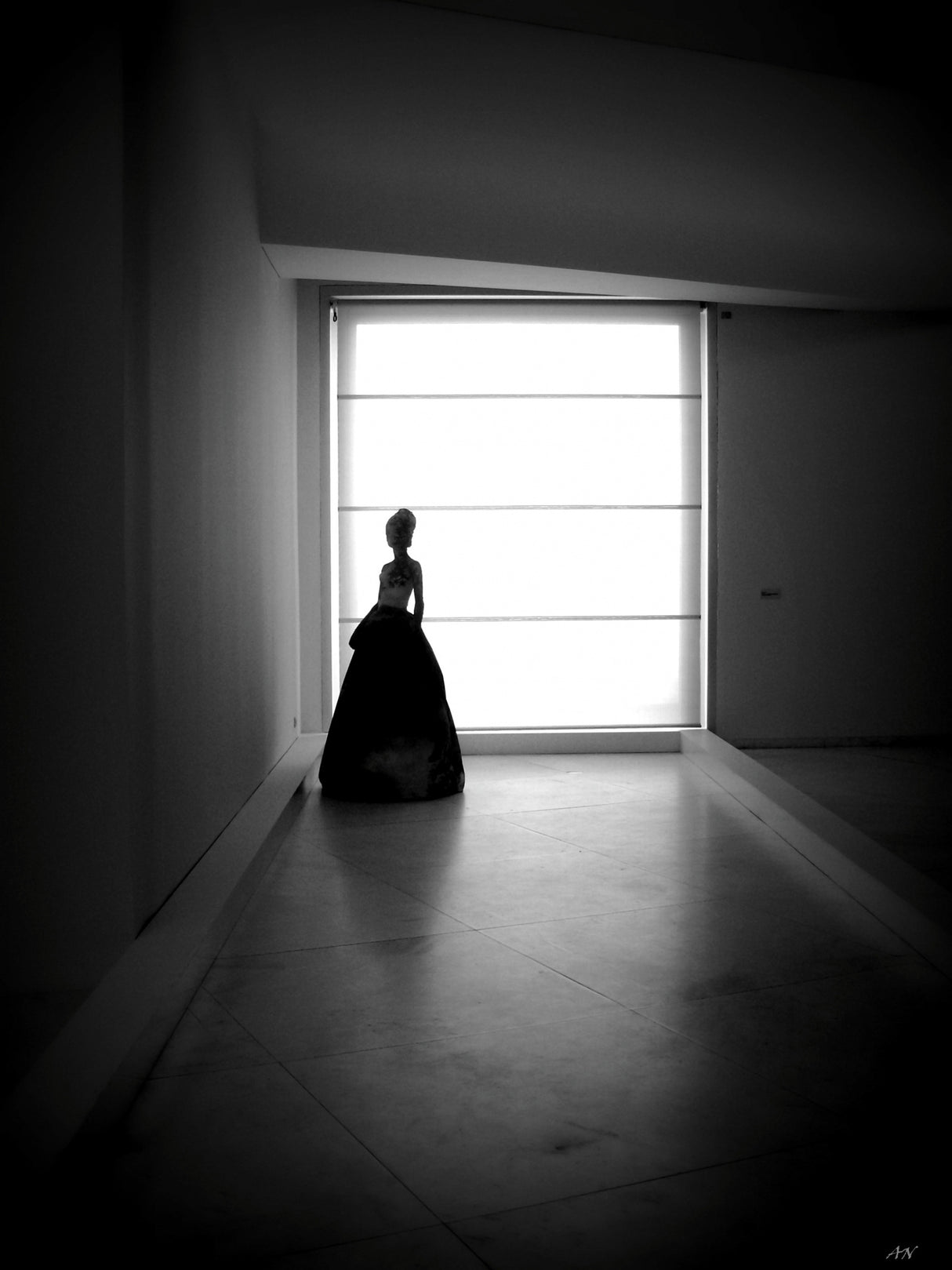 The Lady in Black Poster och Canvastavla