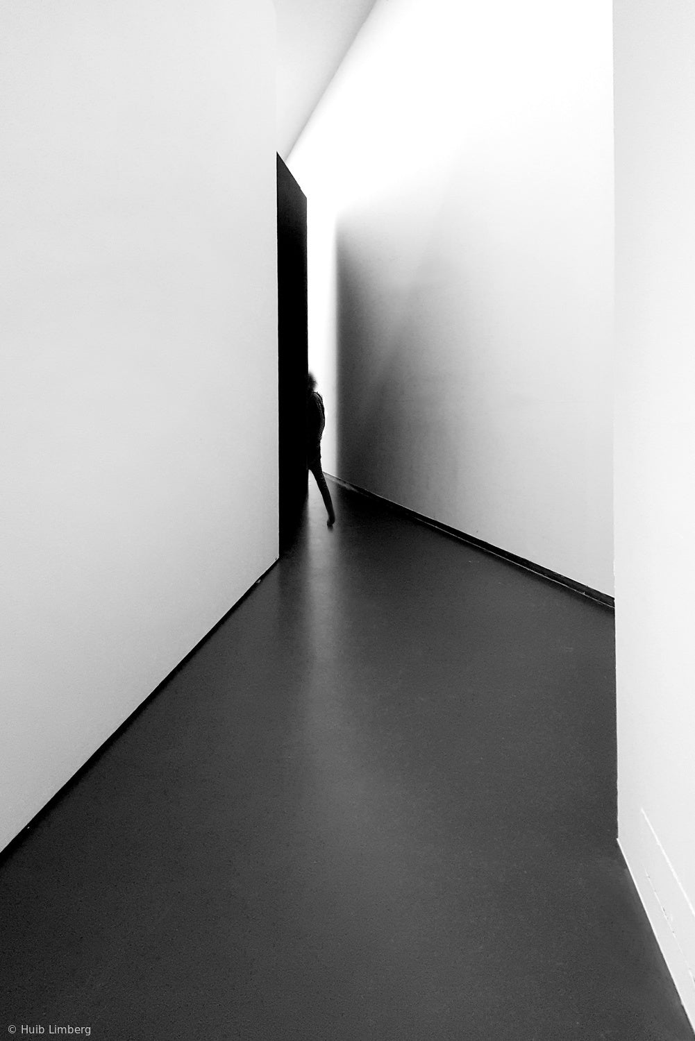 The unknown museumvisitor Poster och Canvastavla