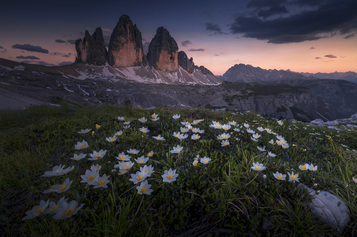 Tre Cime Poster och Canvastavla