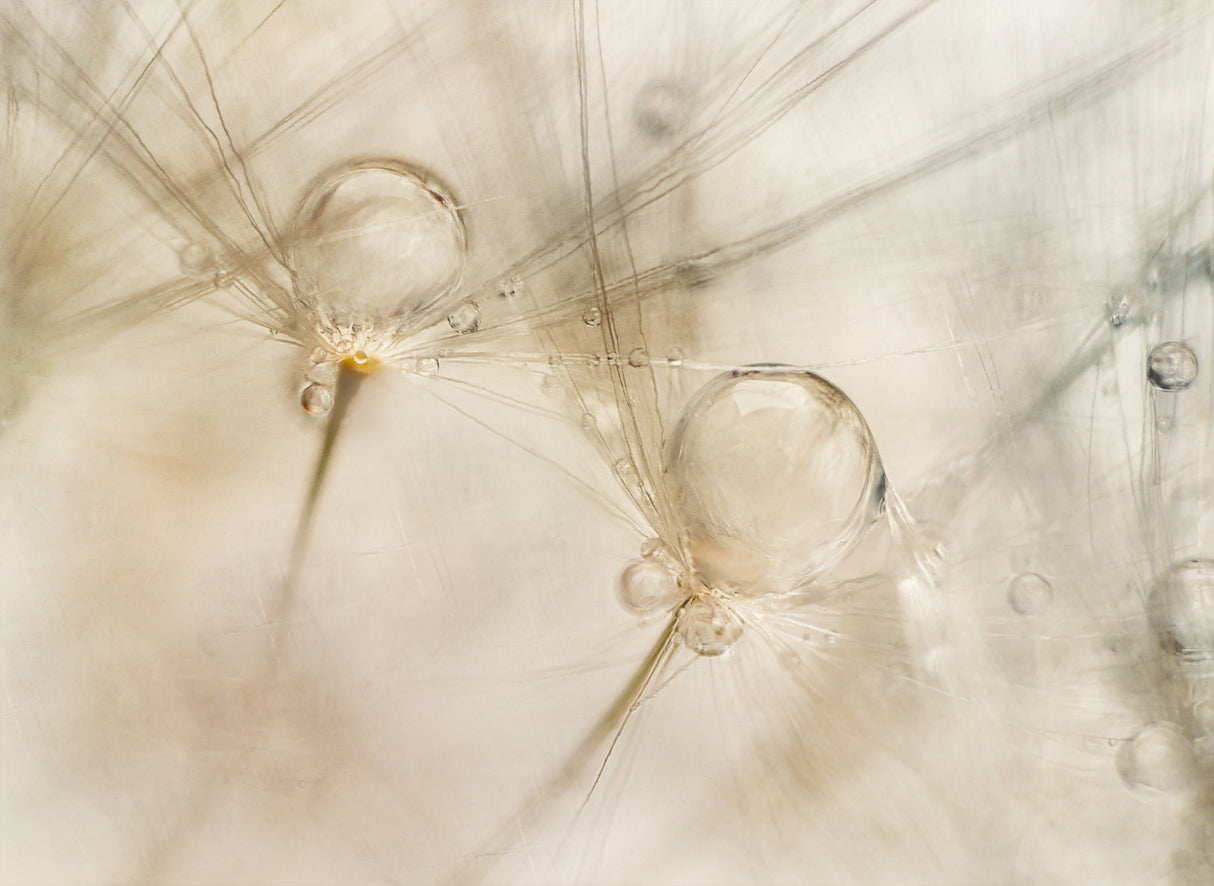 Watercolors Poster och Canvastavla