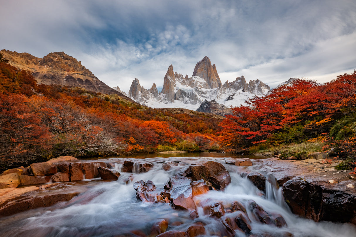 Autumn in Patagonia Poster och Canvastavla