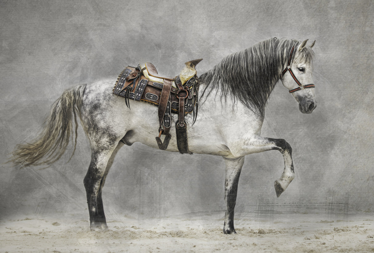 Strike a Pose Poster och Canvastavla