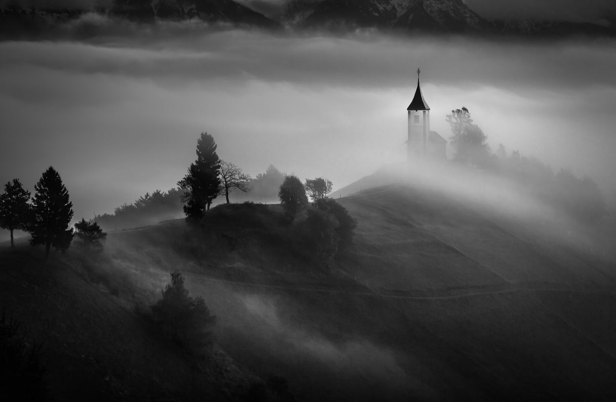 Out of the Mist Poster och Canvastavla
