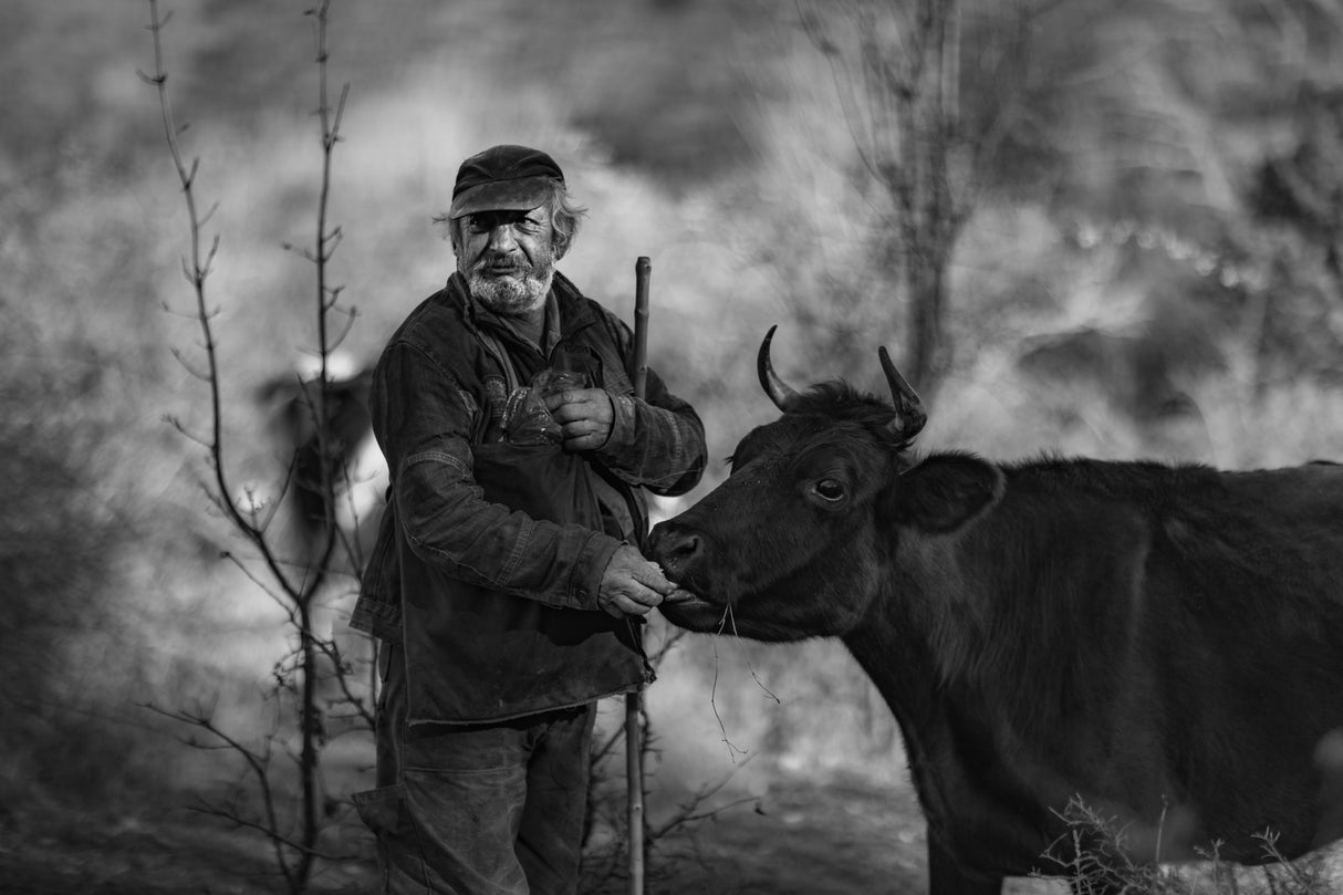 The old man and the mountain Poster och Canvastavla